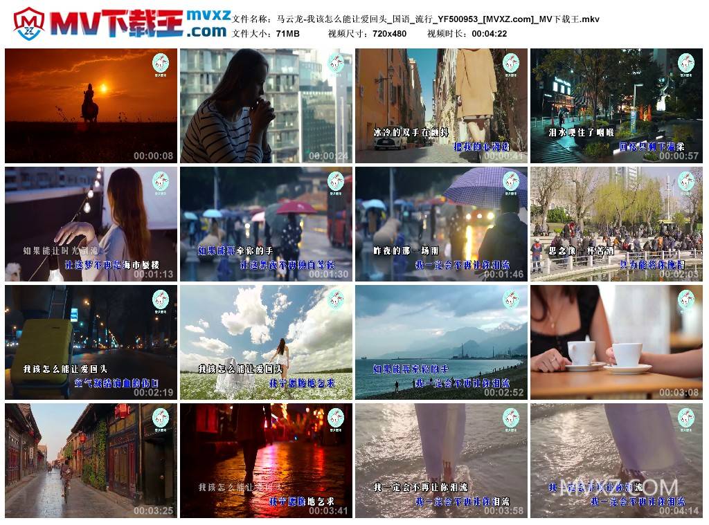 马云龙-我该怎么能让爱回头_国语_流行_YF500953